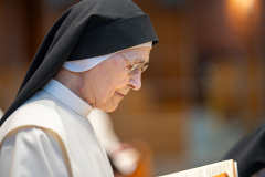 20240529-_OCD1455-copy