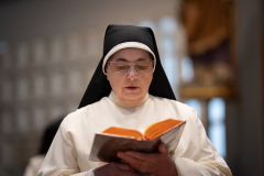 20240529-_OCD1469-copy