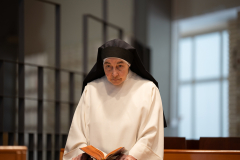 20240529-_OCD1473-copy