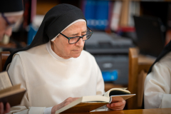 20240529-_OCD1648-copy