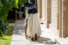 20240529-_OCD1859-copy