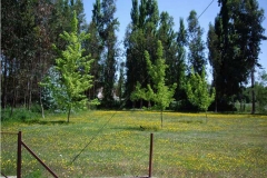 MONASTERIO YERBAS BUENAS (LINARES)