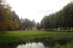 MONASTERIO YERBAS BUENAS (LINARES)