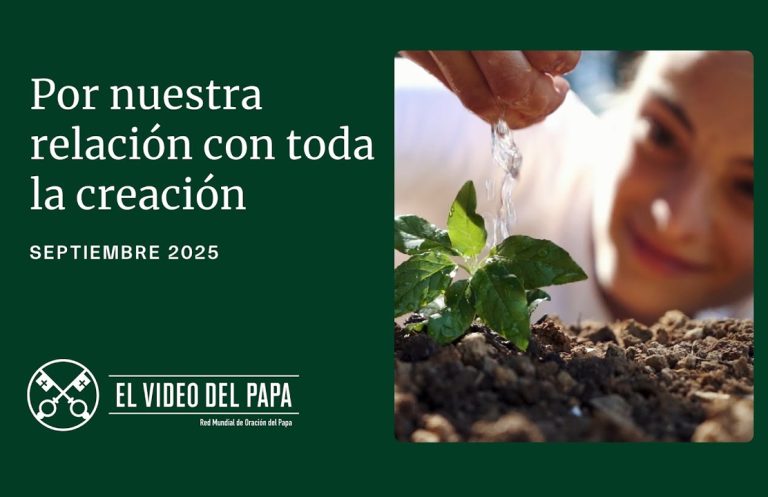 Por nuestra relación con toda la creación – El Video del Papa – Septiembre 2025